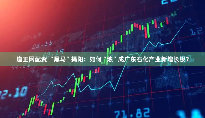道正网配资 “黑马”揭阳：如何“炼”成广东石化产业新增长极？