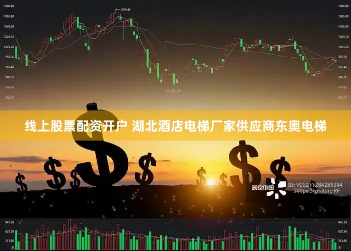 线上股票配资开户 湖北酒店电梯厂家供应商东奥电梯
